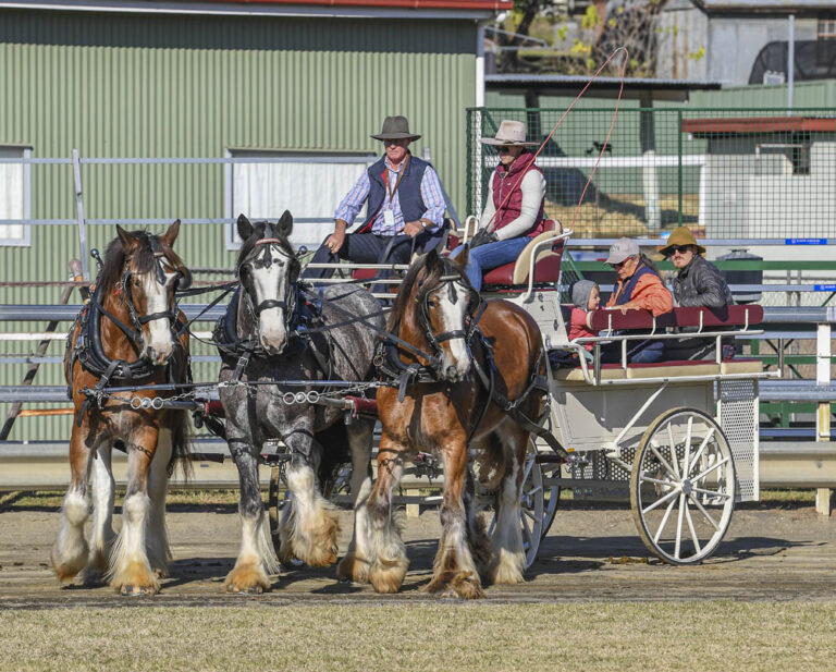 Home - Clydesdale Spectacular Home - Clydesdale Spectacular